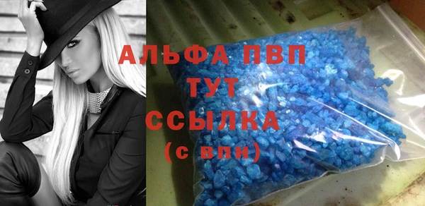 apvp Алзамай