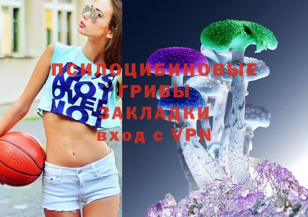 apvp Алзамай
