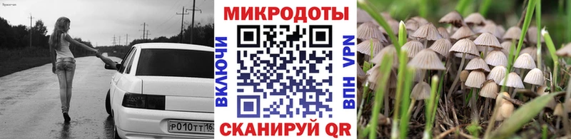 Галлюциногенные грибы Psilocybine cubensis Грайворон